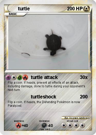 Pokemon turtie