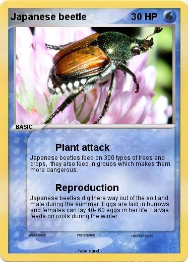 Pokemon Japanese beetle