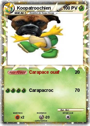 Pokemon Koopatroochien