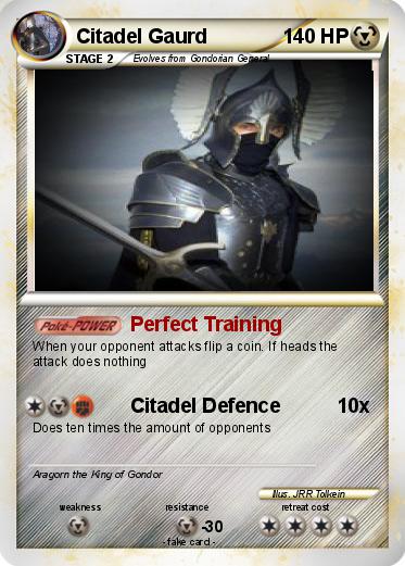 Pokemon Citadel Gaurd
