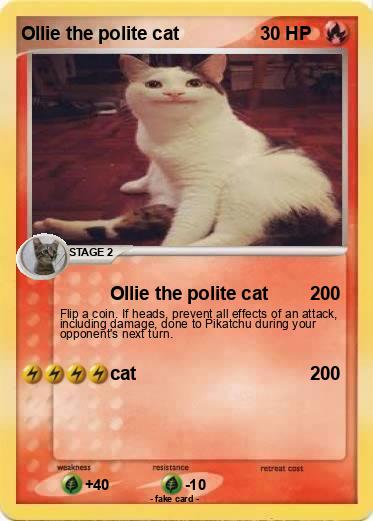 Pokemon Ollie the polite cat