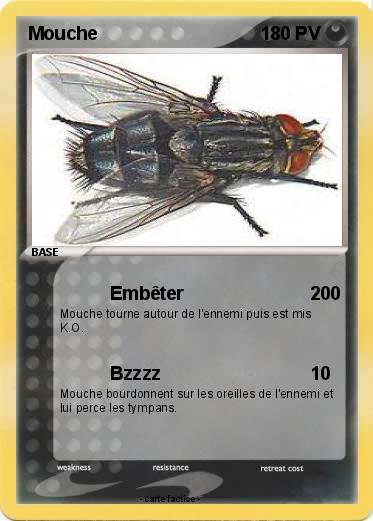 Pokemon Mouche