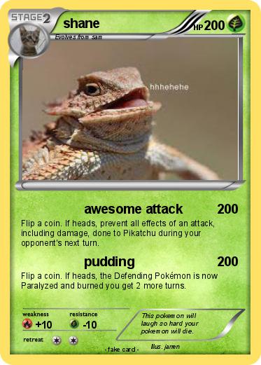 Pokemon shane