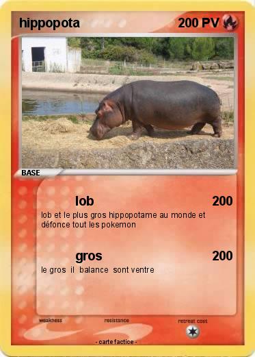 Pokemon hippopota