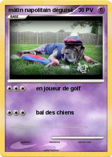 Pokemon mâtin napolitain déguisé