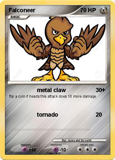 Pokemon Falconeer