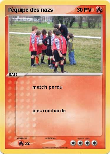 Pokemon l'équipe des nazs