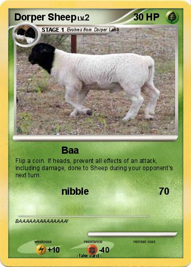 Pokemon Dorper Sheep