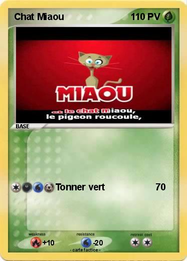Pokemon Chat Miaou