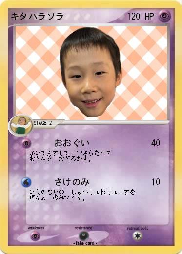 Pokemon キタハラソラ