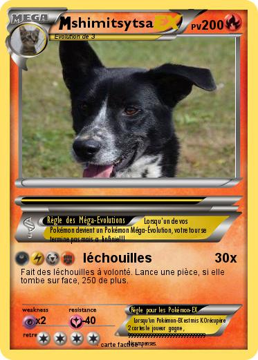 Pokemon shimitsytsa