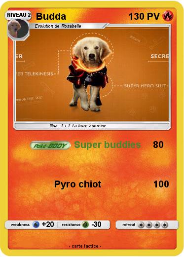 Pokemon Budda