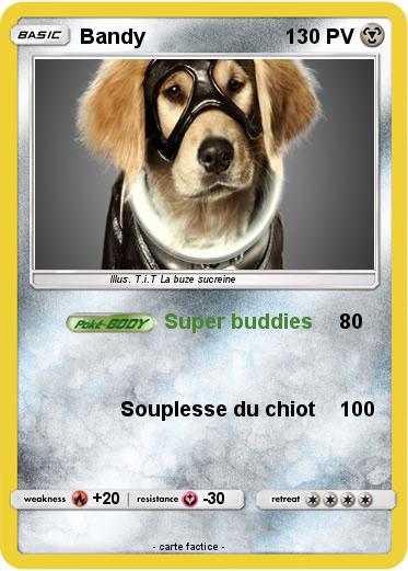 Pokemon Bandy