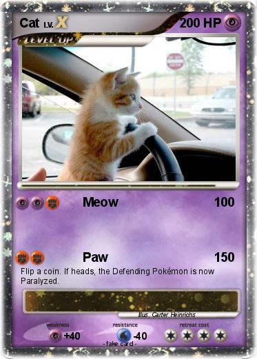 Pokemon Cat