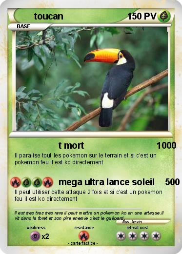Pokemon toucan