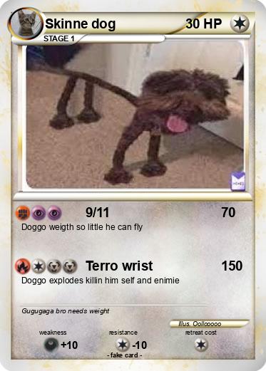 Pokemon Skinne dog
