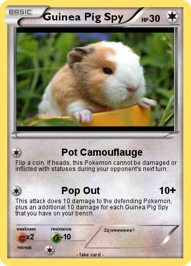 Pokemon Guinea Pig Spy
