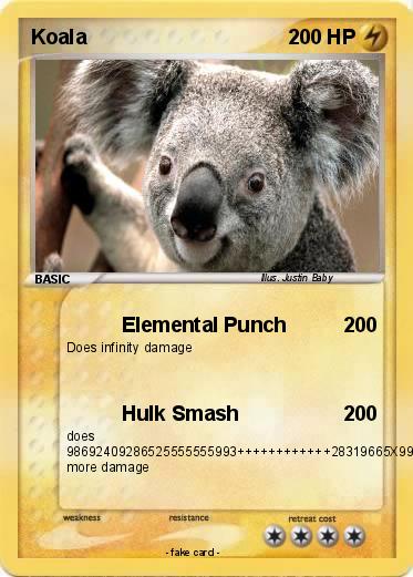 Pokemon Koala