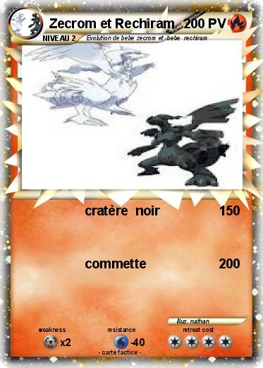 Pokemon Zecrom et Rechiram