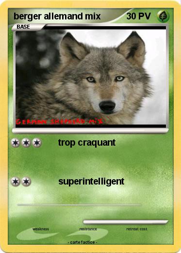Pokemon berger allemand mix