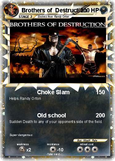 Pokemon Brothers of  Destruction