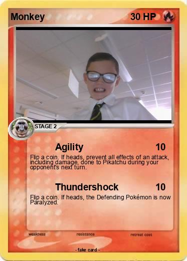Pokemon Monkey