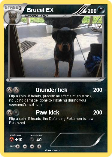 Pokemon Brucet EX