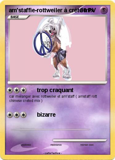 Pokemon am'staffie-rottweiler à crète mix
