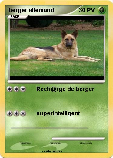 Pokemon berger allemand