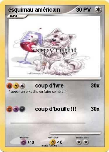 Pokemon ésquimau américain