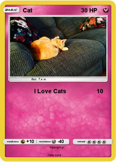 Pokemon Cat