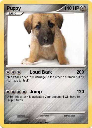Pokemon Puppy