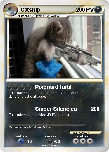 Pokemon Catsnip
