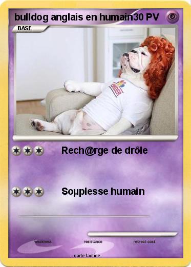 Pokemon bulldog anglais en humain