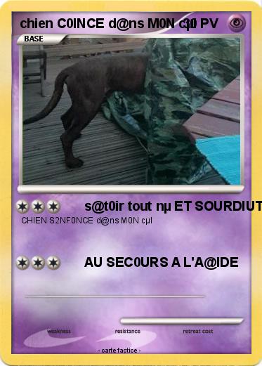 Pokemon chien C0INCE d@ns M0N cµl