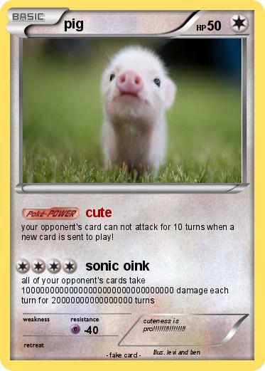 Pokemon pig