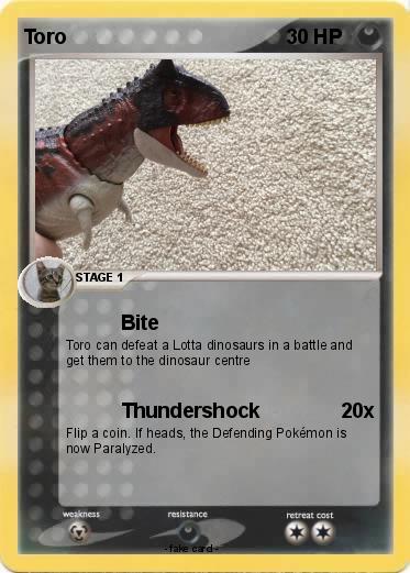 Pokemon Toro