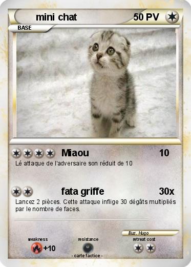 Pokemon mini chat