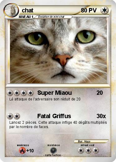 Pokemon chat