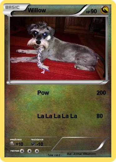 Pokemon Willow