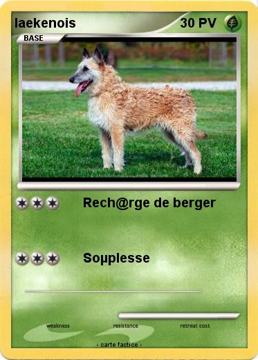 Pokemon laekenois