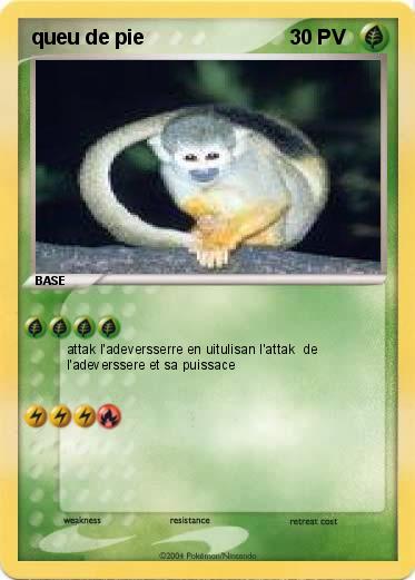 Pokemon queu de pie