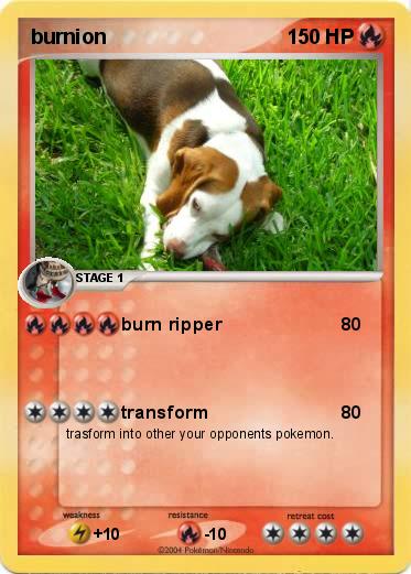 Pokemon burnion