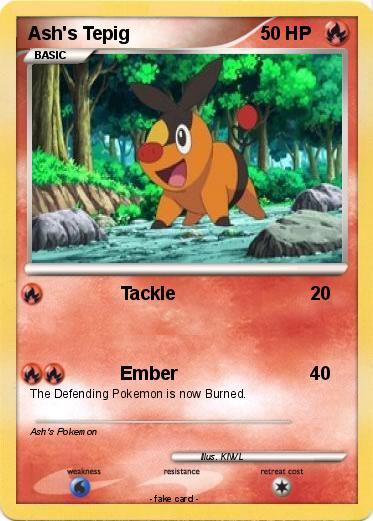 Pokemon Ash's Tepig