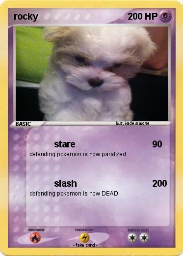 Pokemon rocky