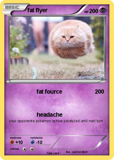 Pokemon fat flyer