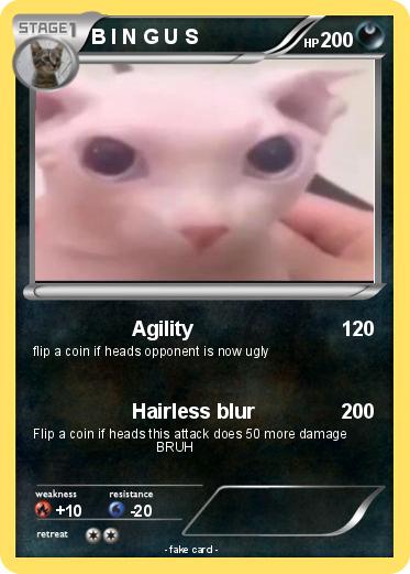 Pokemon B I N G U S