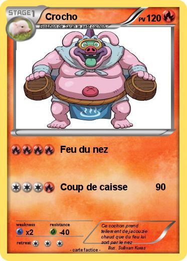 Pokemon Crocho