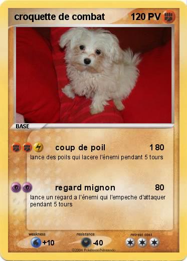 Pokemon croquette de combat