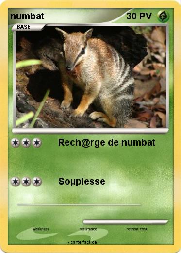 Pokemon numbat